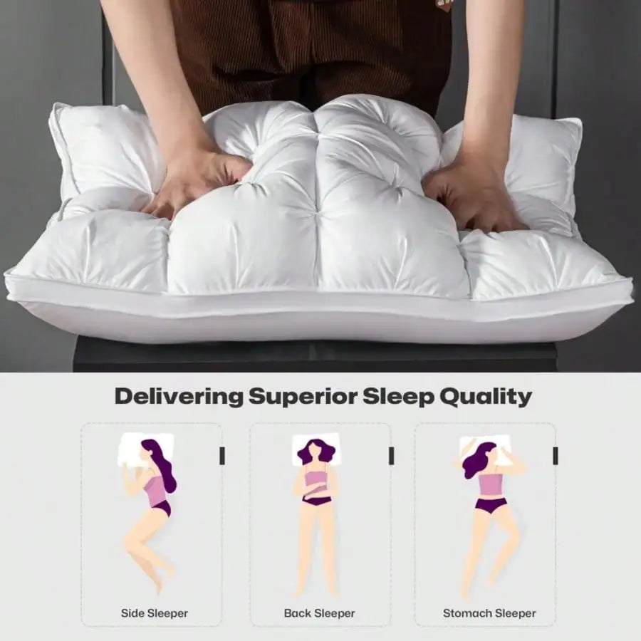 Queen Pillows Set of 2, Down Alternative Microfiber Filled Bed Pillows for Side, Stomach and Back Sleepers, Mother’s Day Gift
