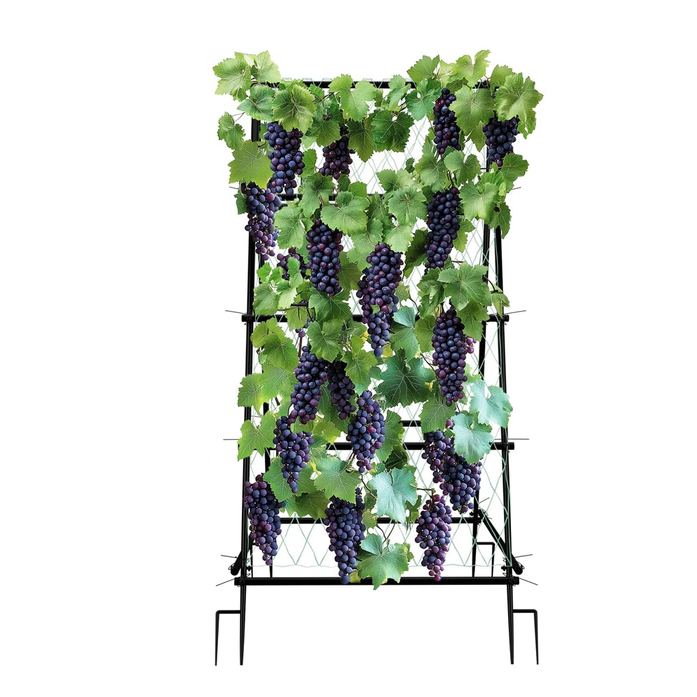 A-Shaped Metal Garden Trellis Climbing Plants Arch Outdoor Vine Plants Support with Netting
