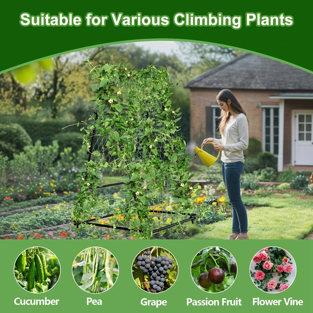 A-Shaped Metal Garden Trellis Climbing Plants Arch Outdoor Vine Plants Support with Netting