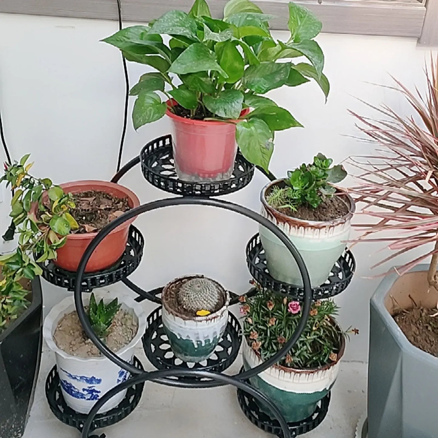 Metal Plant Stands 6 Pots Plants Flower Stand for Patio Garden Living Room Corner Balcony Bedroom Black / White